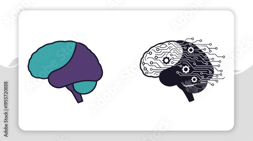 Conceptualizing Brain Function From Organic Structure to Digital Thinking and Learning Processes