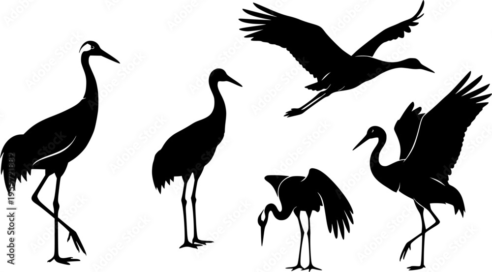 Obraz premium Crane bird svg, Crane bird silhouette, Japanese crane svg, Sandhill crane svg, Crane silhouette, Crane svg set 