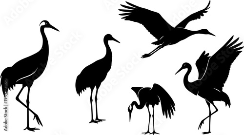 Crane bird svg, Crane bird silhouette, Japanese crane svg, Sandhill crane svg, Crane silhouette, Crane svg set
