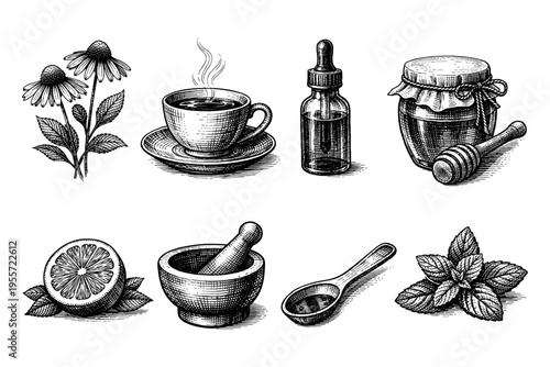 Vintage illustration of natural remedies including echinacea, tea, honey, and lemon