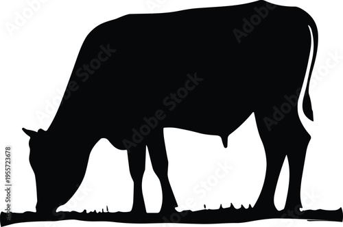 Black Cow Silhouette Eating Grass Vector Illustration for Dairy Farm Logo Cattle Breeding Livestock Industry Organic Beef Meat Products and Rural Agricultural Landscape Design (24 words)