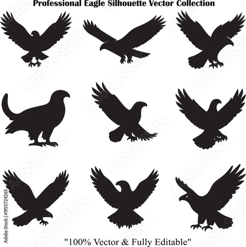 Professional Eagle Silhouette Vector Collection - Bird of Prey Set