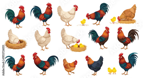 Comprehensive collection of farm birds including roosters hens and chicks in different poses and colors isolated on white.