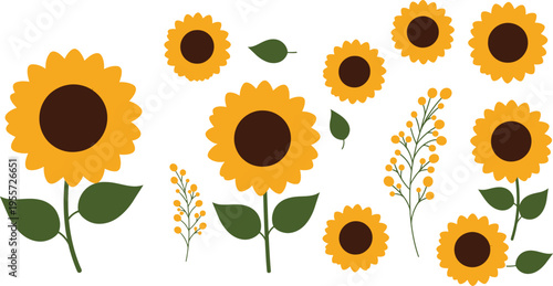 Bright yellow sunflower vector illustration featuring a floral summer garden frame with blooming petals and green leaves in a beautiful nature field