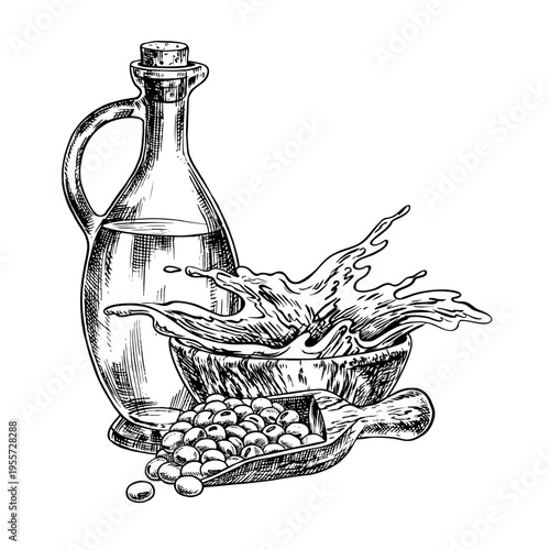 Soybean oil. A glass bottle, a handful of soybeans in a wooden scoop, and a splash of oil in a wooden bowl. Black and white vector graphics. For menus, recipes, and packaging, labels, and more.