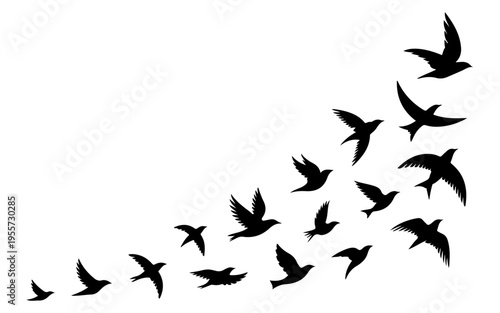 Silhouette birds flying in the sky isolated on a clean white background vector illustration, birds silhouette vector on a white background, bird, silhouette, flying, fly, wings