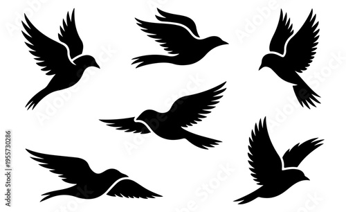 Set of vector silhouettes of birds, Set of bird silhouettes in flight featuring various species like eagle, hawk, and dove in a clean black vector style