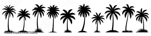 Coconut tree silhouette vector illustration with tropical palm trees on a beach landscape under a sunset sky, palm, tree, beach, tropical, island, sea, silhouette, palms, leaf, trees, vacation, summer