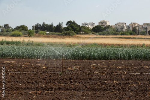 Irrigation of agricultural products in summer