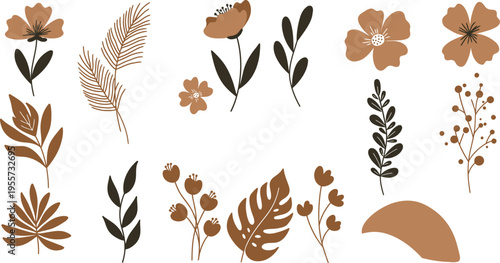 Collection of various brown and black leaves and flowers on white background