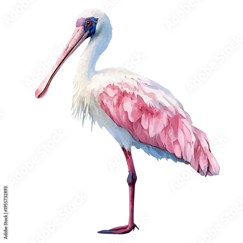 Tableau sur toile Spoonbill, cute watercolor illustration with intricate patterns and vibrant splashes, isolated on a white background