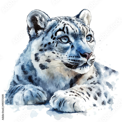 Snow Leopard, elegant watercolor illustration luminous highlights, isolated on a white background.