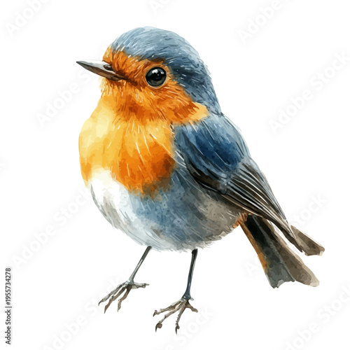 Robin, playful watercolor vector depicting lively antics and expressive gestures, isolated on a white background.