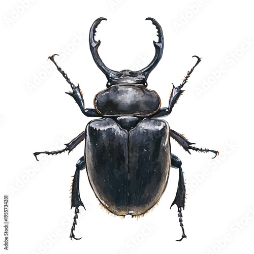 Rhinoceros Beetle, elegant watercolor illustration luminous highlights, isolated on a white background.