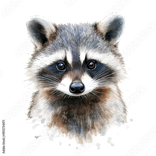 Raccoon, elegant watercolor illustration luminous highlights, isolated on a white background.