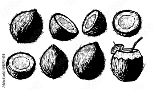 Expressive black ink coconut sketch set with whole broken fruit and tropical drink vector illustration