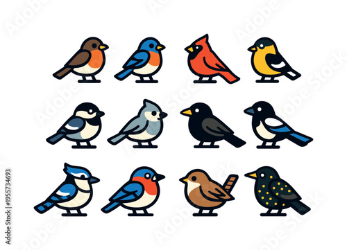 Garden and backyard birds: robin, bluebird, cardinal, goldfinch, chickadee, titmouse, blackbird, magpie, jay, swallow, wren, starling