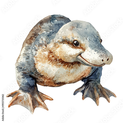 Platypus, playful watercolor vector depicting lively antics and expressive gestures, isolated on a white background.