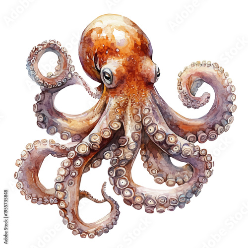 Octopus, elegant watercolor illustration luminous highlights, isolated on a white background.