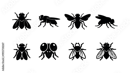Fly insect icons: house fly top view, fly side view, fly with spread wings, fly landing silhouette, fly with folded wings, fly with large eyes, fly outline silhouette, fly with