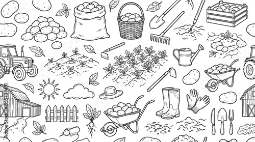 Potato farming and agricultural harvest concept focused on rural cultivation, seasonal work, and fresh produce collection in a natural countryside environment. Objects of potato,