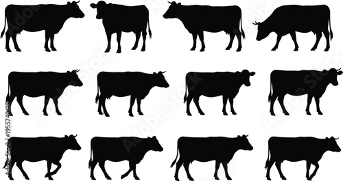 Cow silhouettes, cattle illustration, livestock vector, farm animals, dairy cow shapes, rural agriculture, grazing cattle, black silhouette art, animal posture, herd design