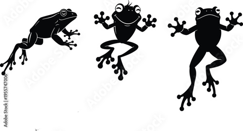 Frog silhouette, tree frog illustration, amphibian drawing, exotic animal art, wildlife design, climbing frog graphic, black reptile figure, nature creature artwork