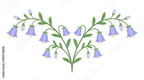 A floral branch, a spring flower, and wildflower blossoms with curved stems and nodding blooms, featuring delicate fragile campanula buds, presented as a symmetrical botanical flat vector