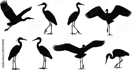 Heron silhouettes, flying bird shapes, standing heron, walking bird, elegant wildlife, long neck bird, wading bird, nature design, vector illustration, animal art