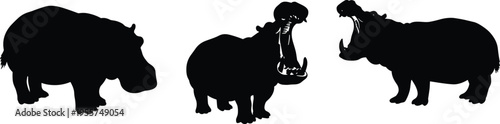 Hippopotamus silhouette, wild animal icon, open mouth hippo, African wildlife, black vector, aggressive pose, nature, beast, mammal, isolated