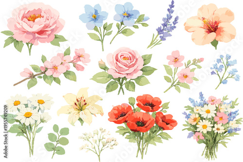 Set of watercolor floral elements, hand painted flowers collection, botanical illustration with roses, peonies and wildflowers