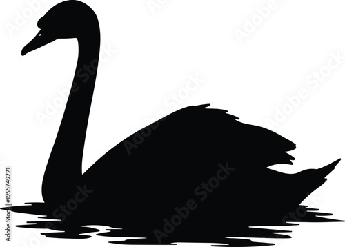 Elegant swan silhouette, black bird reflection, graceful waterfowl, serene lake scene, minimalist wildlife art, peaceful nature background, decorative design element
