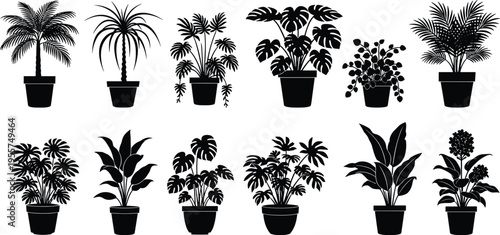 Aim, higher, squat, lower, fitness, motivation, workout, gym, quote, typography, weightlifting, exercise, training, bodybuilding, inspiration, vector, lettering, health, sports, athlete.