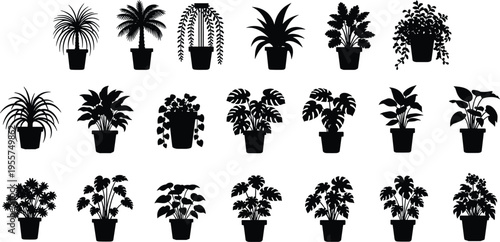 Potted, plant, silhouette, set, vector, indoor, nature, leaf, monstera, palm, houseplant, botanical, decoration, home, garden, isolated, greenery, foliage, aesthetic, greenery.