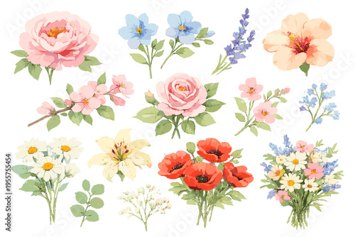 Set of watercolor floral elements, hand painted flowers collection, botanical illustration with roses, peonies and wildflowers