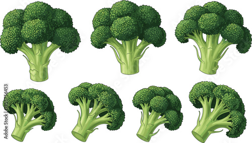 Broccoli vegetable set with realistic green florets fresh healthy organic food ingredient detailed vector illustration collection