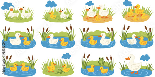 Duck and ducklings in pond and grass scenes cute farm animals family cartoon vector illustration set