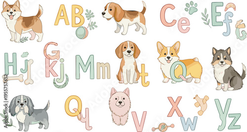 Dog Alphabet Collection Vector Illustration Featuring Cute Puppy Breeds with Letters Educational Cartoon Set for Kids Learning Design