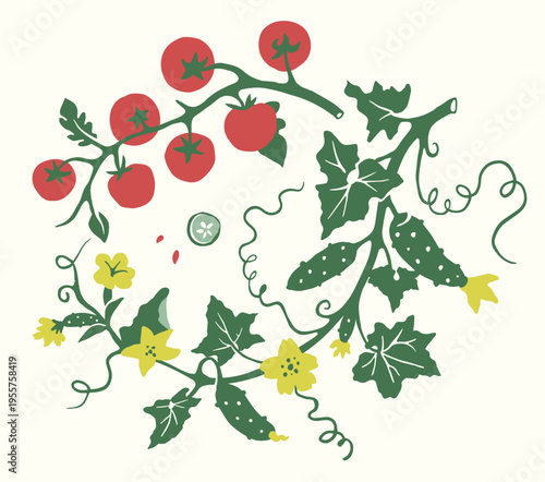 Branch with Ripe Tomatoes and Cucumber Vine in Circular Composition. Garden Cutout Illustration