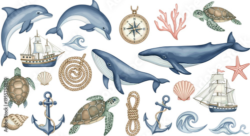 Nautical Marine Collection Vector Illustration Featuring Whale Dolphin Sea Turtle Anchor Ship Rope and Ocean Coastal Elements Set
