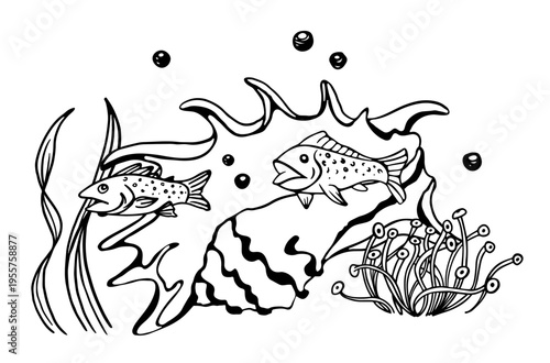 Fish swimming around seashell, coral and algae. Inked sketchy style. Black and white. Colored page illustration.