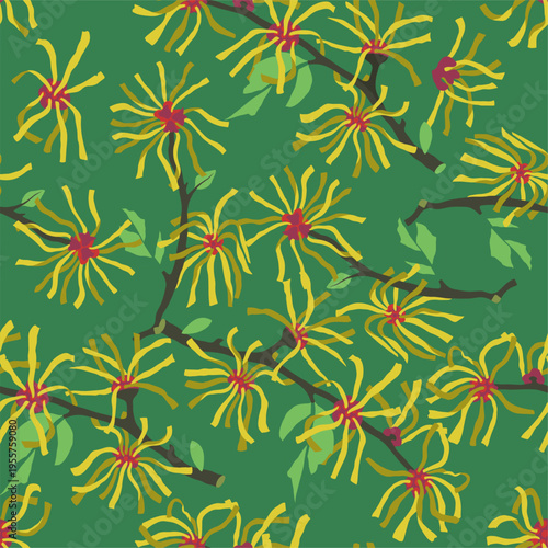 Hamamelis Tree Branches seamless pattern. Witch Hazel background illustration
