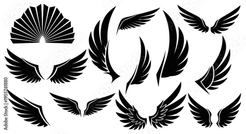 Collection of diverse black wing silhouettes and graphic elements on a white background
