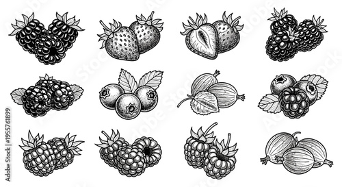 Collection of hand-drawn berries including strawberries, blueberries, raspberries, and blackberries