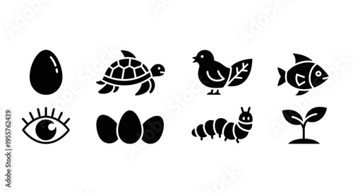Collection of simple black icons representing life cycle stages and biological elements