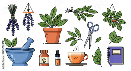 Herbal remedies and natural wellness collection with plants, tea, and essential oils