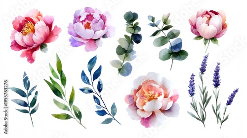 Watercolor flowers and leaves on white background