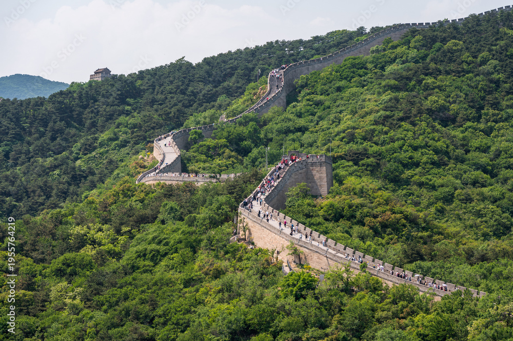 Fototapeta premium The Great Wall of China winds across the lush green mountains of Badaling under a clear blue sky.