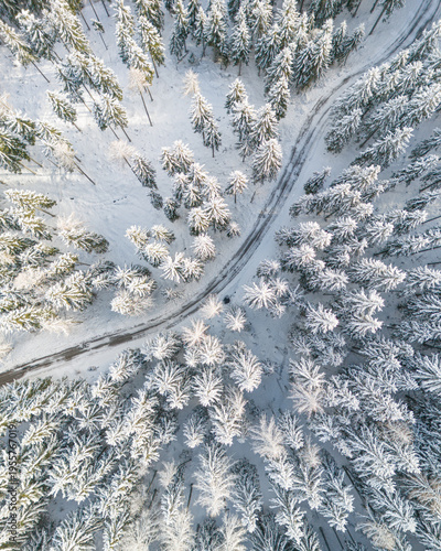 An aerial view of snow covered conifers trees in the forrest above the path