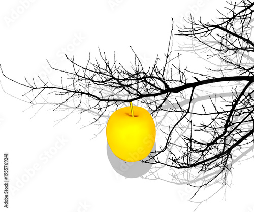 Golden apple hanging on a natural tree branch, vector illustration. Concept of value, temptation, success and growth. High contrast composition with realistic natural branch and stylized golden fruit.